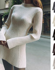 Solid Ribbed Knitted Dress