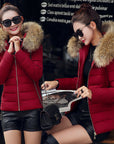 Women's Cotton-padded Coat Plus Size Short Fur Collar Slim Quilted Coat