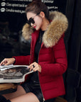 Women's Cotton-padded Coat Plus Size Short Fur Collar Slim Quilted Coat